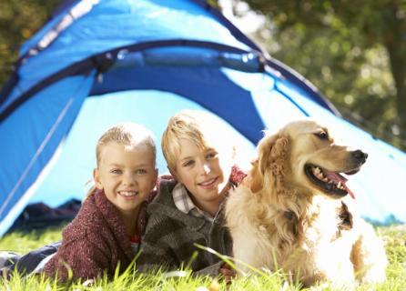 Отель Camping De Baignes Экстерьер фото